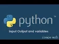 Input Output and variables used in Python Windows