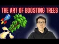 Ensemble Method Boosting Hypothesis Boosting