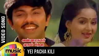 yei pacha kili video song anna nagar mudhal theru movie sathyaraj radha mango music tamil