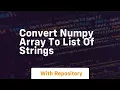 convert numpy array to list of strings