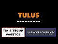 Download Lagu Tia Teguh Vagetoz Tulus (Karaoke Lower Key Nada Rendah Kalowkey Channel)