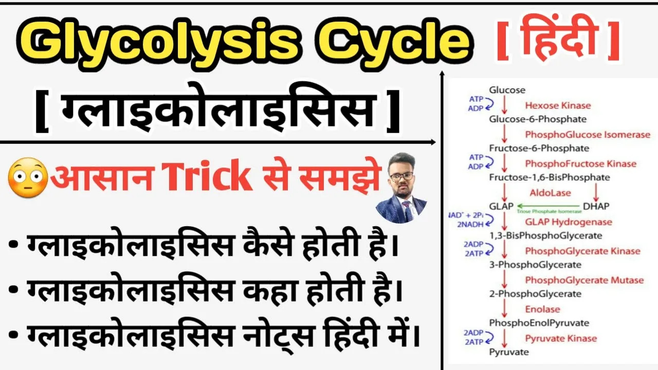Glycolysis Cycle | Glycolysis Pathway | Carbohydrates Metabolism | Glycolysis in hindi | Glycolysis