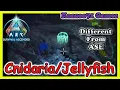 Cnidaria in Ark Survival Ascended -