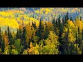 Download Lagu Autumn in Alaska,  Acoustic Indie/Folk Playlist, Chill Acoustic Guitar , Open Road Folk Music