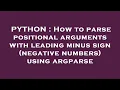 PYTHON How to parse positional arguments with leading minus sign negative numbers using argparse