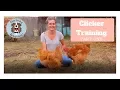 Chicken Clicker Tutorial