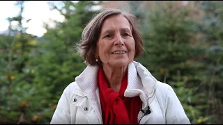 linda jarosch ich liebe die frau die ich bin impulse f r die adventszeit