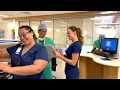 Halifax Health Student Nurse Internship Program