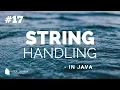STRING Handling in JAVA indexOf to get next occurrence