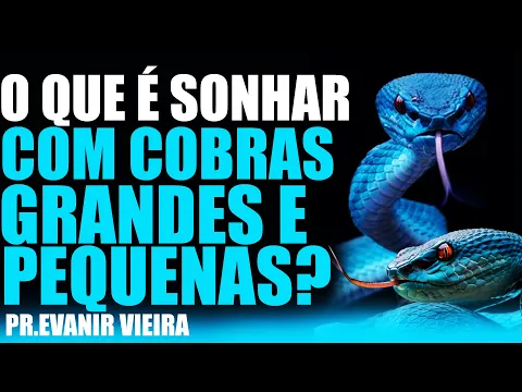 Download MP3 Sonhar com cobras grandes e pequenas! O que é? Pastor Evanir Vieira