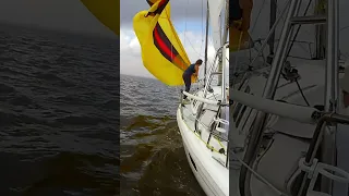 #sailing #texas #fun