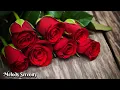 Download Lagu Сборник лучших мелодий🌿можно слушать вечно🌿Музыка Сергея Грищука