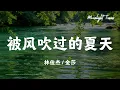 被风吹过的夏天 - 林俊杰 / 金莎「还记得昨天 那个夏天 微风吹过的一瞬间」【动态歌词/Moonlight Tunes】