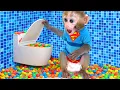 Download Lagu Monyet Bon Bon Imut makan permen pelangi yang manis dari mesin penjual otomatis di taman