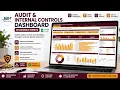 Audit Internal Controls Dashboard in Google Sheets