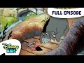 Eeyore s Tail Little Piglets The New Adventures of Winnie the Pooh S2 E4