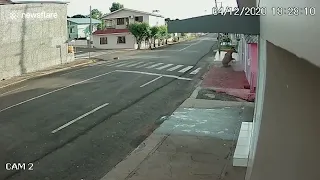 don pollo shitpost