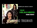 Download Lagu TAMU MALAM MINGGU - endang triswati