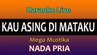 kau asing dimataku karaoke nada pria