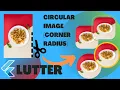 Round Image Widget with Border in flutter ClipRRect Widget Corner Radius Image in flutter