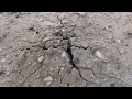 Download Lagu Uncovering the Mysterious Ancient Artifacts from Iran’s Soil