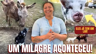 UM MILAGRE ACONTECEU | DEUS ESTÁ ESCUTANDO TODAS AS MINHAS ORAÇÕES