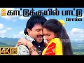 Lagu Kattu Kuyil - 4K Video Song | காட்டுக்குயில் பாட்டு | Chinna Mappillai |Prabhu | Sukanya Ilaiyaraaja