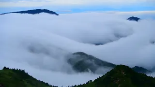 سورة يوسف بصوت القارئ سالم عبد الجليل 