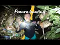 Download Lagu Peaura ( पिउँरा ) Slingshot Hunting at Night