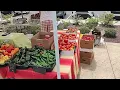 Wilmington Farmers Market July 22 2023