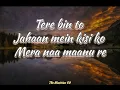 Rang (Lyrics) 🎵 || Sky force || Akshay kumar, Veer P, Sara || The Musician 09 ||