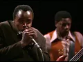 Muddy Waters - Honey Bee (1970)