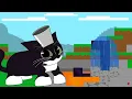 Maxwell cat speedrunning Minecraft Check description