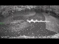 Download Lagu Rods on Security Camera