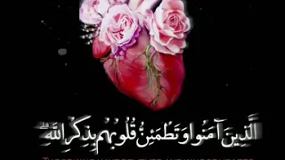 ألا بذكر الله تطمئن القلوب سوره الرعد آيه ٢٨ 