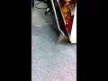 Rug Wash - NYC Kohl s Commercial Carpet Cleaning