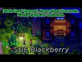 Stardew Valley Blackberry Ep140 Y3 Summer - 27-28 Fable Reef Opened Shed Decorate Sophia s Cutscene