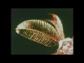 Download Lagu walterwarm \u0026 cowode // goodbye