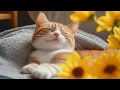 Download Lagu Relaxing Music for Anxious Cats - 12 Hours of Music to Soothe Cats, Relax \u0026 Comfort, Sleepy Cat♬