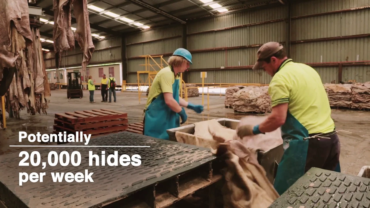 Outline Video Water Reuse and Recycle at Teys Hide Processing Plant, Murgon, QLD