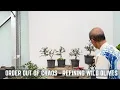 Order out of Chaos - Refining some Wild Olives