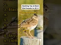 Download Lagu 10 suara burung teratas di Inggris