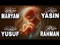 Download Lagu Quran Recitation Secrets for a HEALTHY Baby | Surah Maryam, Surah Yusuf, Surah Rahman, Surah Yasin MP3