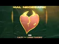 Cauty Ft. Lenny Tavarez - Mal Necesario (Letra/Lyric)