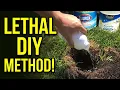 Moles and Gophers Destroying Your Yard Try This Method