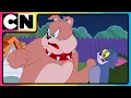 Download Lagu Tom and Jerry 😺🐭 | The Reign Of Thomas Begins! | Cat and Mouse | Compilation | @cnindia