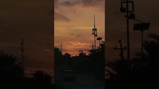 حاتم العراقي مثل طير بقفص وحده اشتراك بالقناة Shorts لايك اشراك حبايبي فدوه اروحلكم 