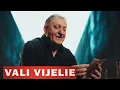 Lagu Vali Vijelie - Poze care dor (Official Video) 2025