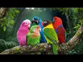 Download Lagu MOST WONDERFUL PARROTS IN THE WORLD | AMAZING \u0026 HEALING NATURE SOUNDS | STRESS RELIEF | RELAXATION