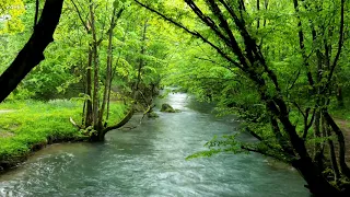 سورة الأنفال عبد الباسط عبد الصمد  سورة الأنفال عبد الباسط عبد الصمد